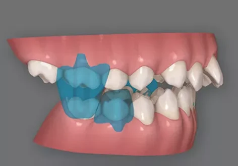 06f80bea-daaa-4f05-a4aa-2ab795443dba